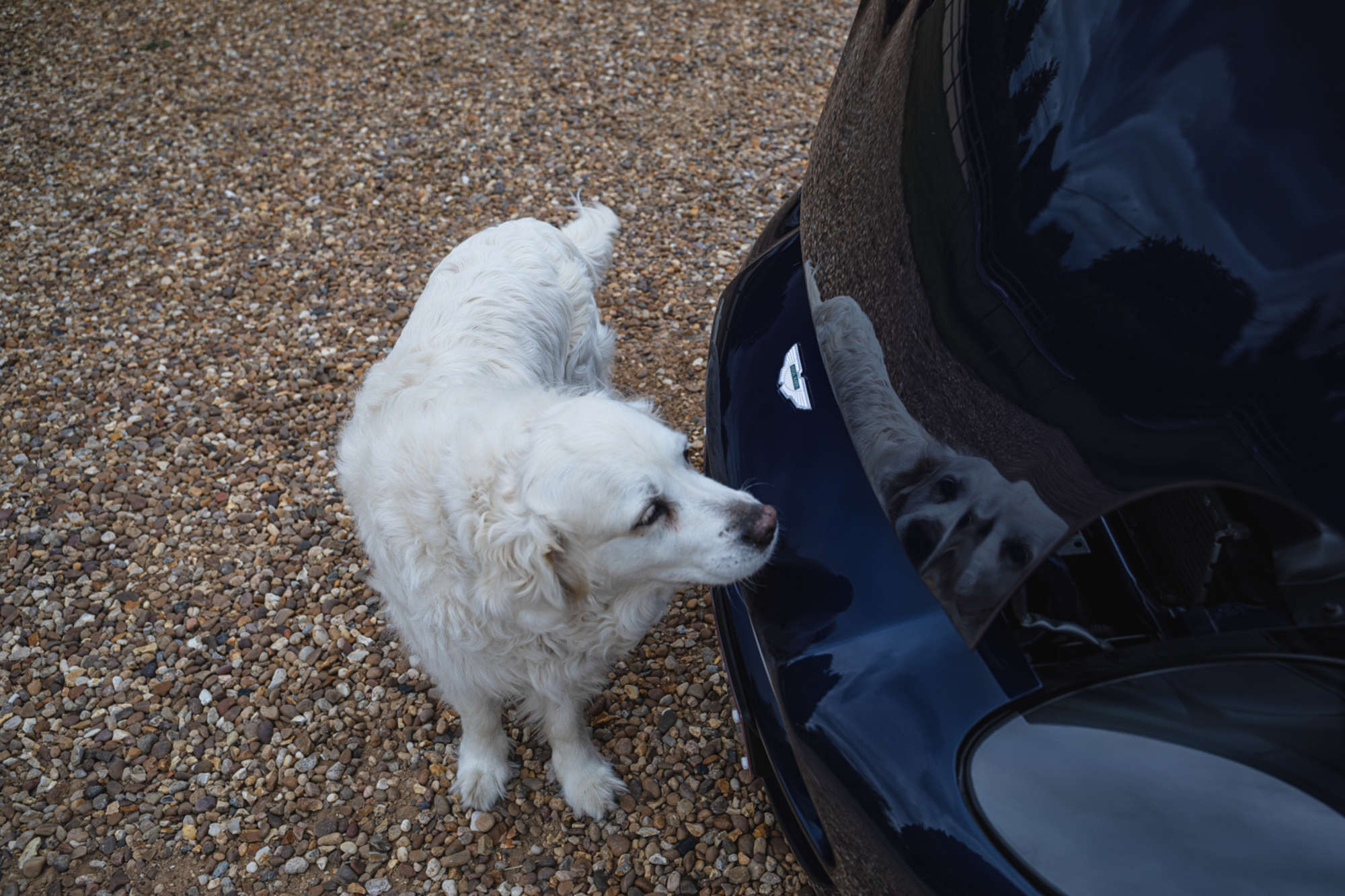 2001 Aston Martin DB7 V12 Vantage-Sold
