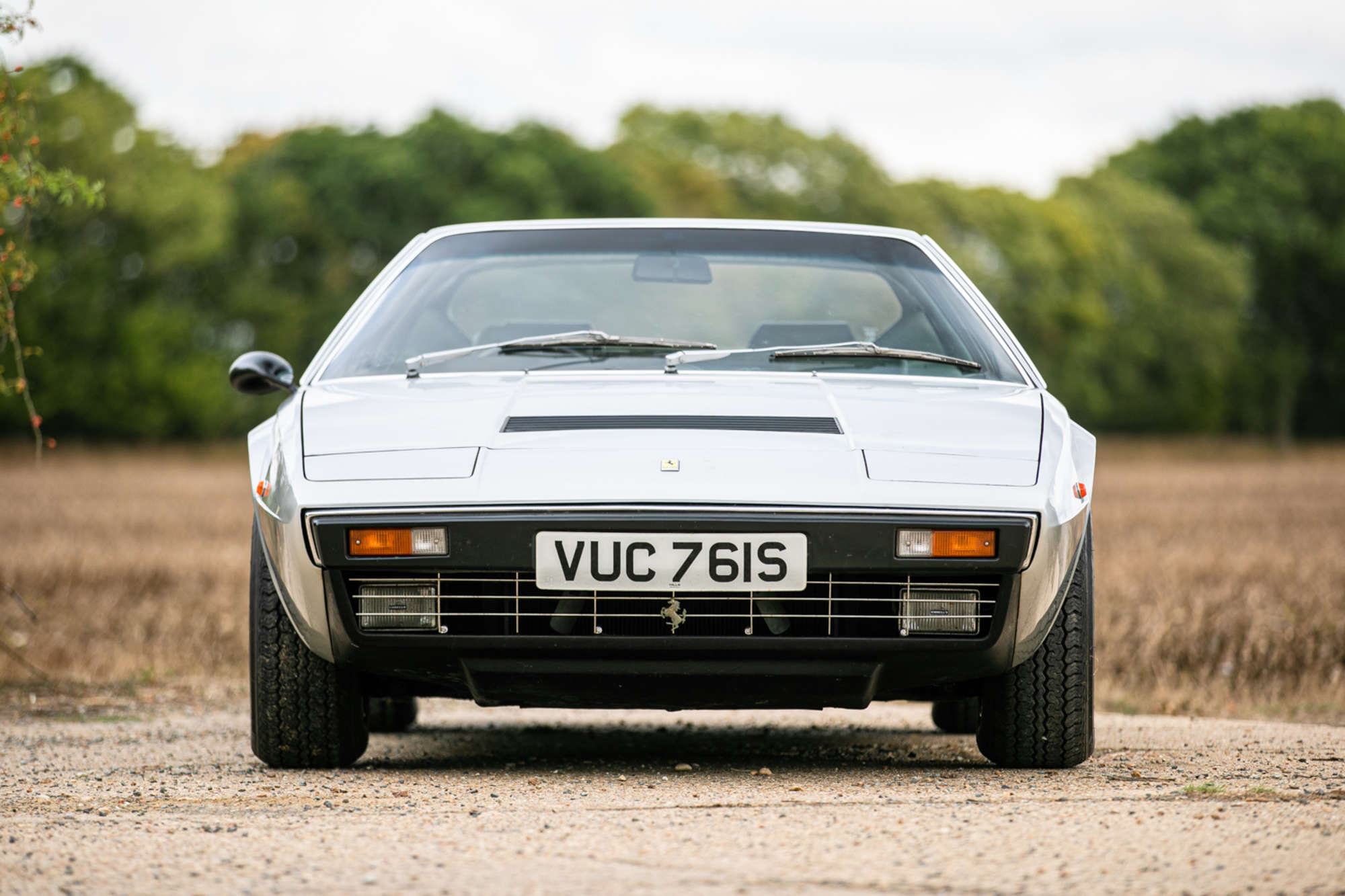1978 Ferrari 308 GT4 Dino-Sold