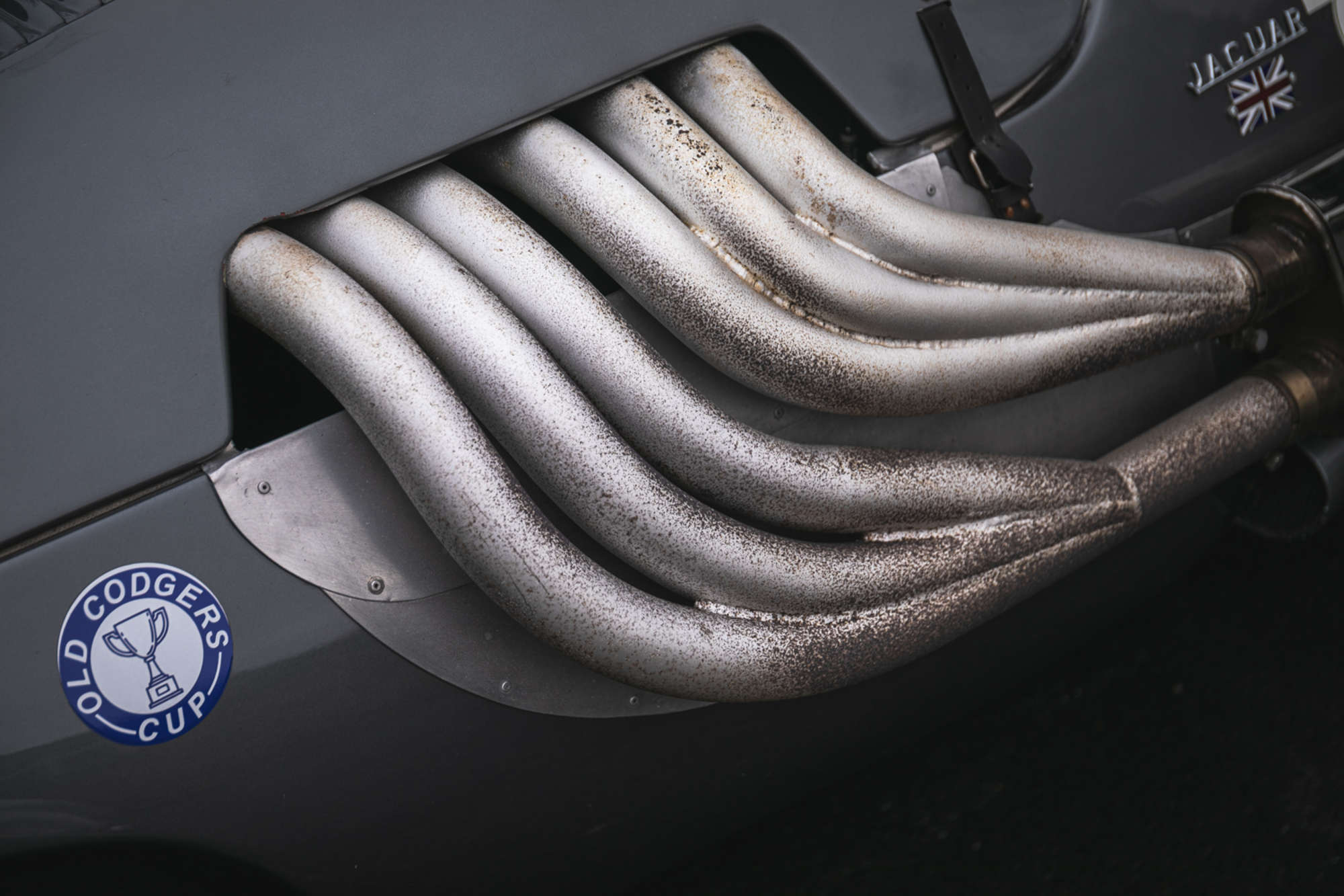 1982 Kougar Jaguar 3.8-Litre-Auction Lot