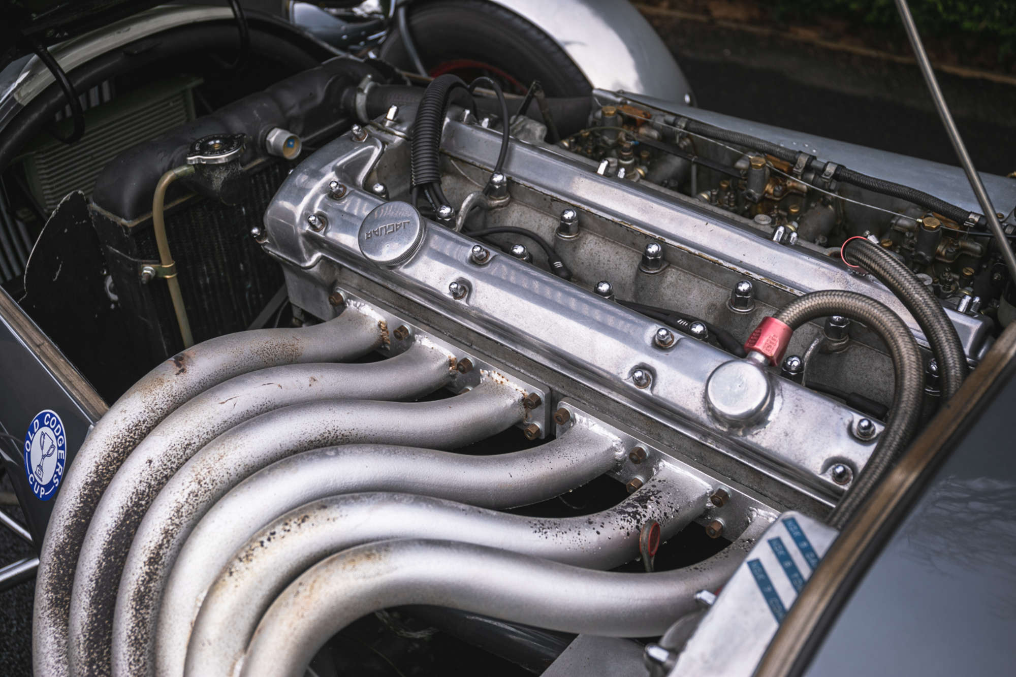 1982 Kougar Jaguar 3.8-Litre-Auction Lot