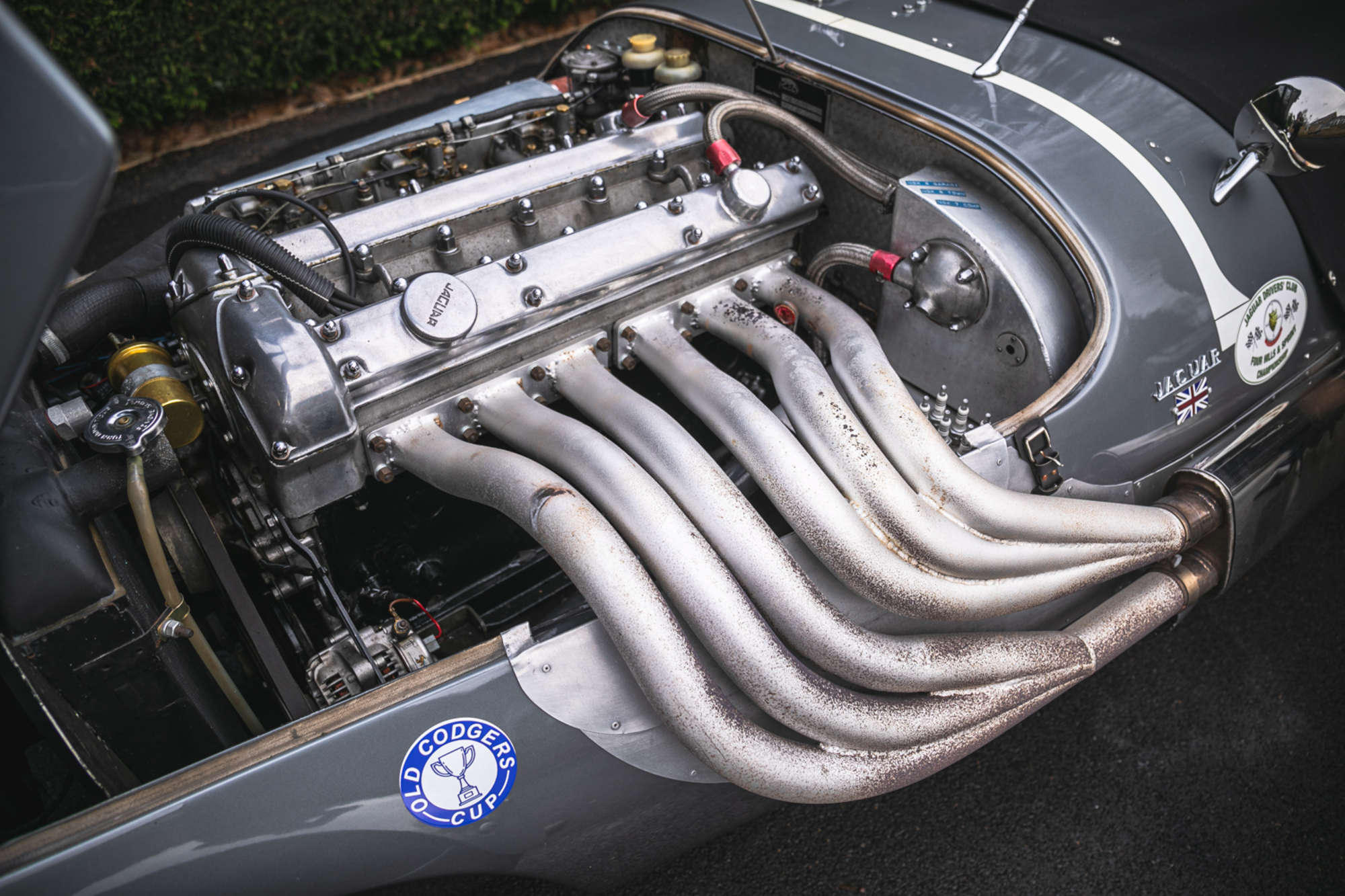 1982 Kougar Jaguar 3.8-Litre-Auction Lot