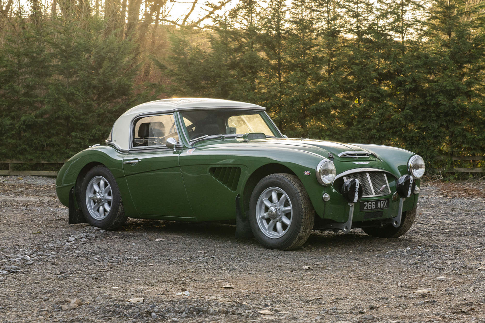 1961 Austin Healey 3000 Mk 1 (BT7) to Rally Spec-Sold