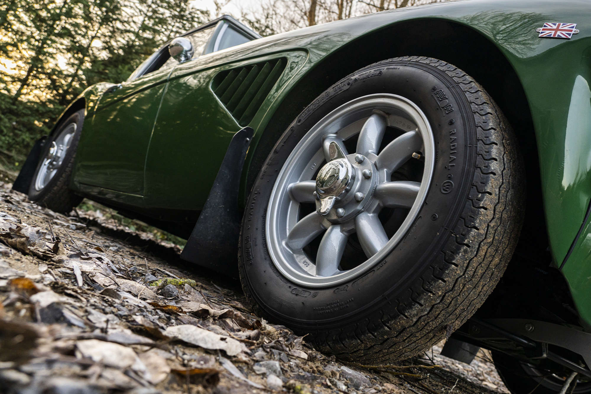 1961 Austin Healey 3000 Mk 1 (BT7) to Rally Spec-Sold
