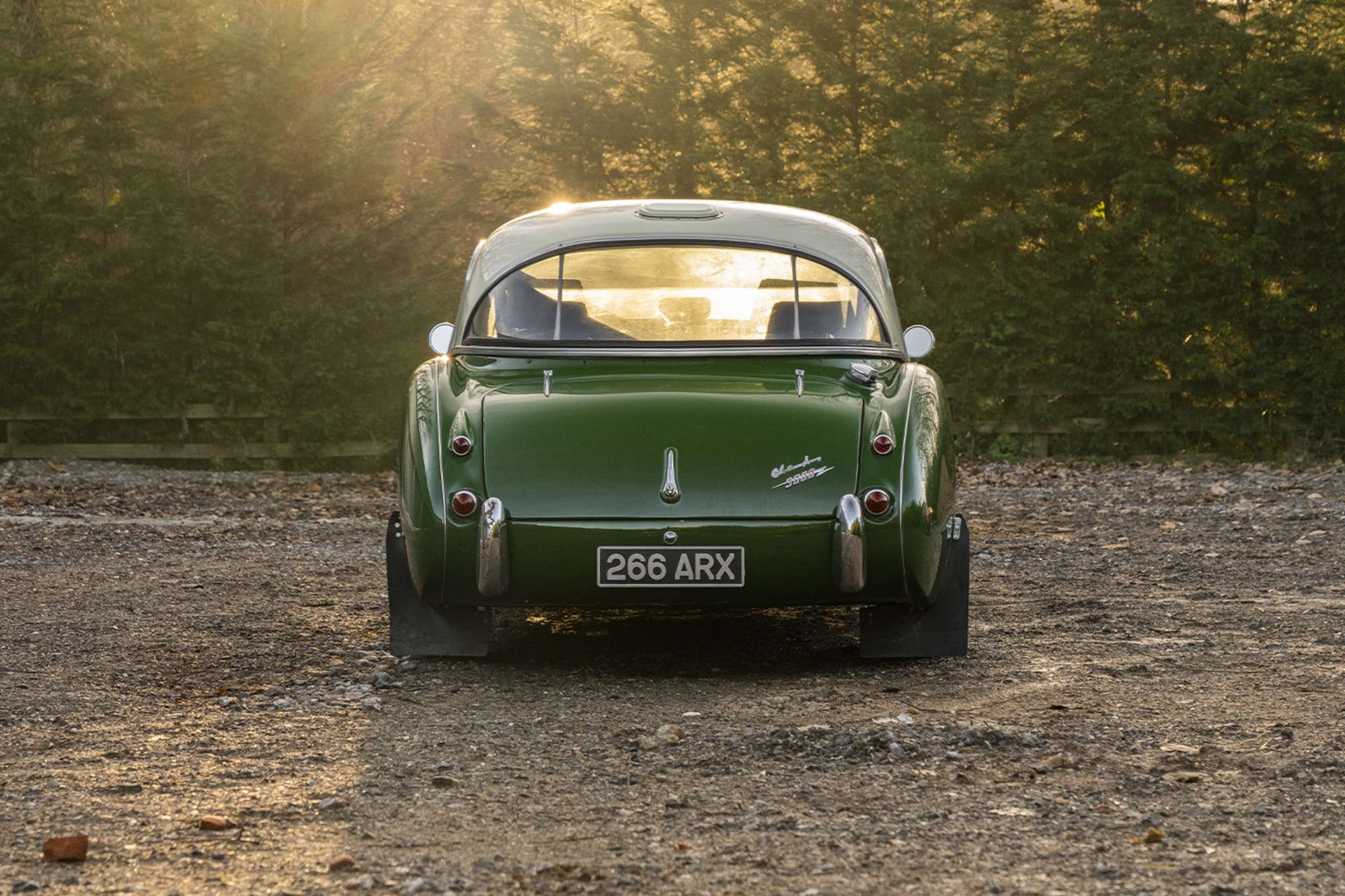 1961 Austin Healey 3000 Mk 1 (BT7) to Rally Spec-Sold