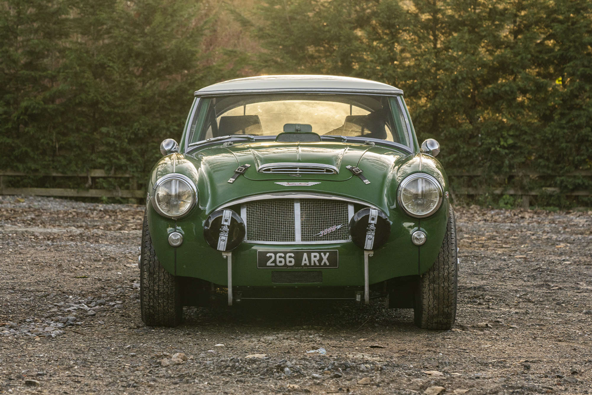1961 Austin Healey 3000 Mk 1 (BT7) to Rally Spec-Sold