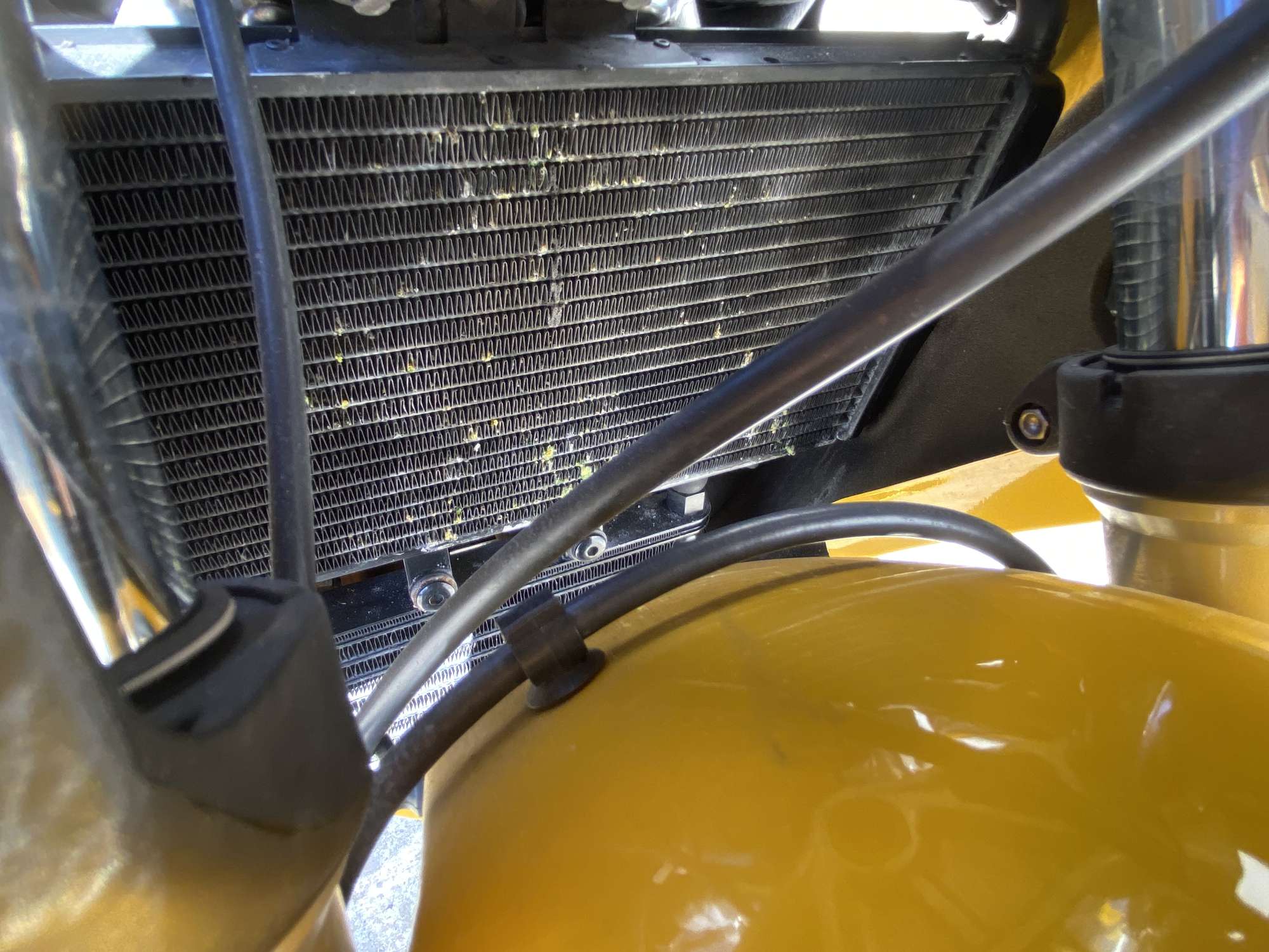 1997 Triumph Daytona T595 955cc-Sold