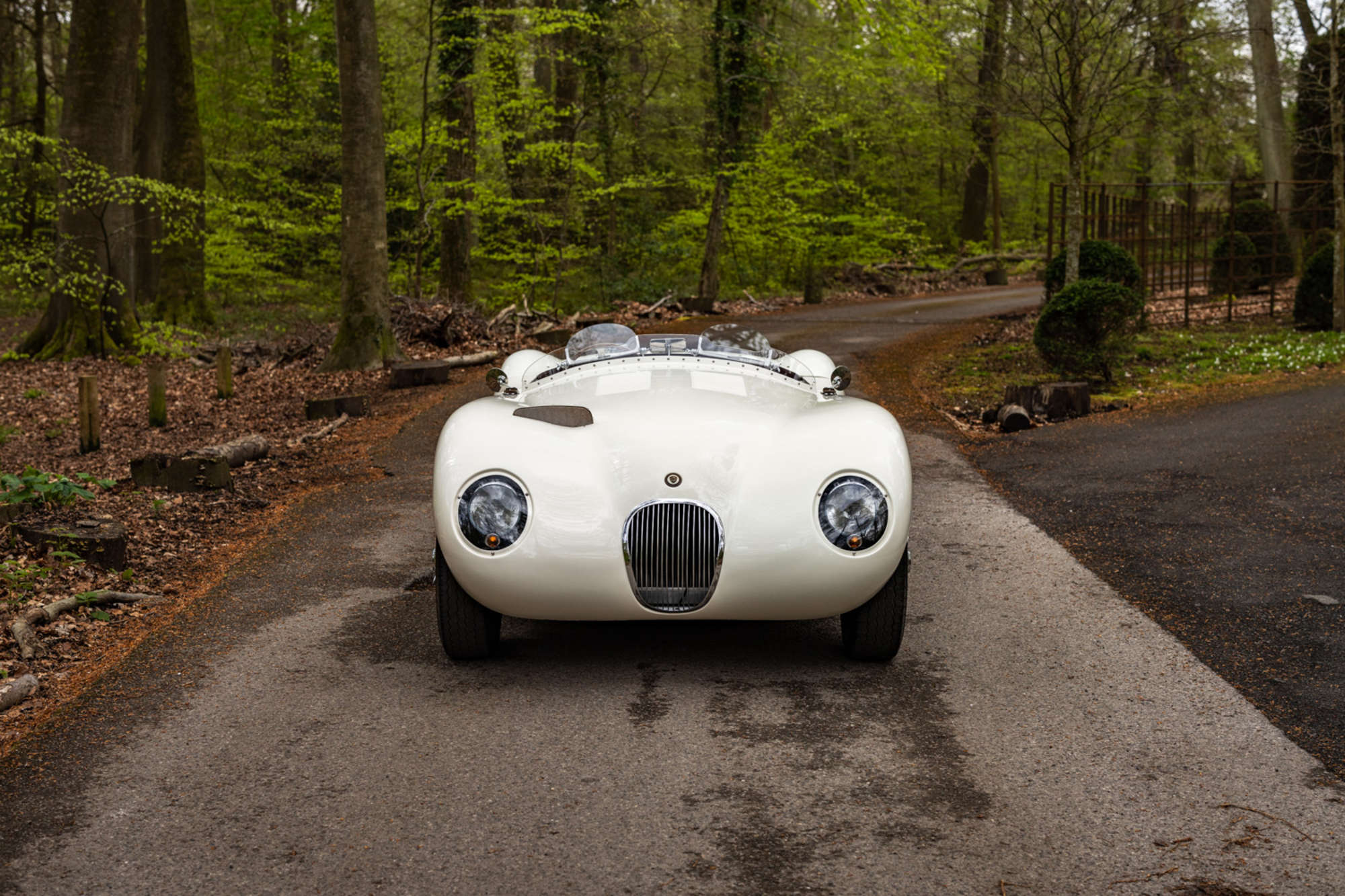 2016 C-Type by Proteus -For Sale