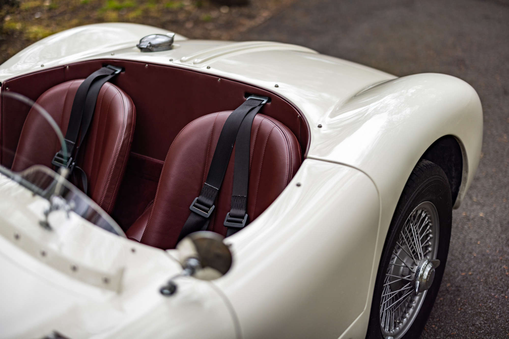2016 C-Type by Proteus -For Sale