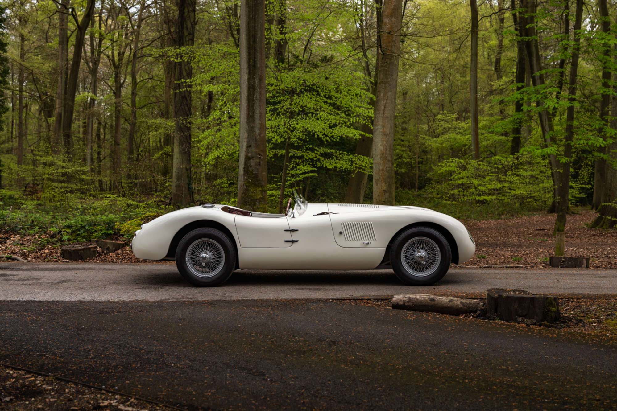 2016 C-Type by Proteus -For Sale