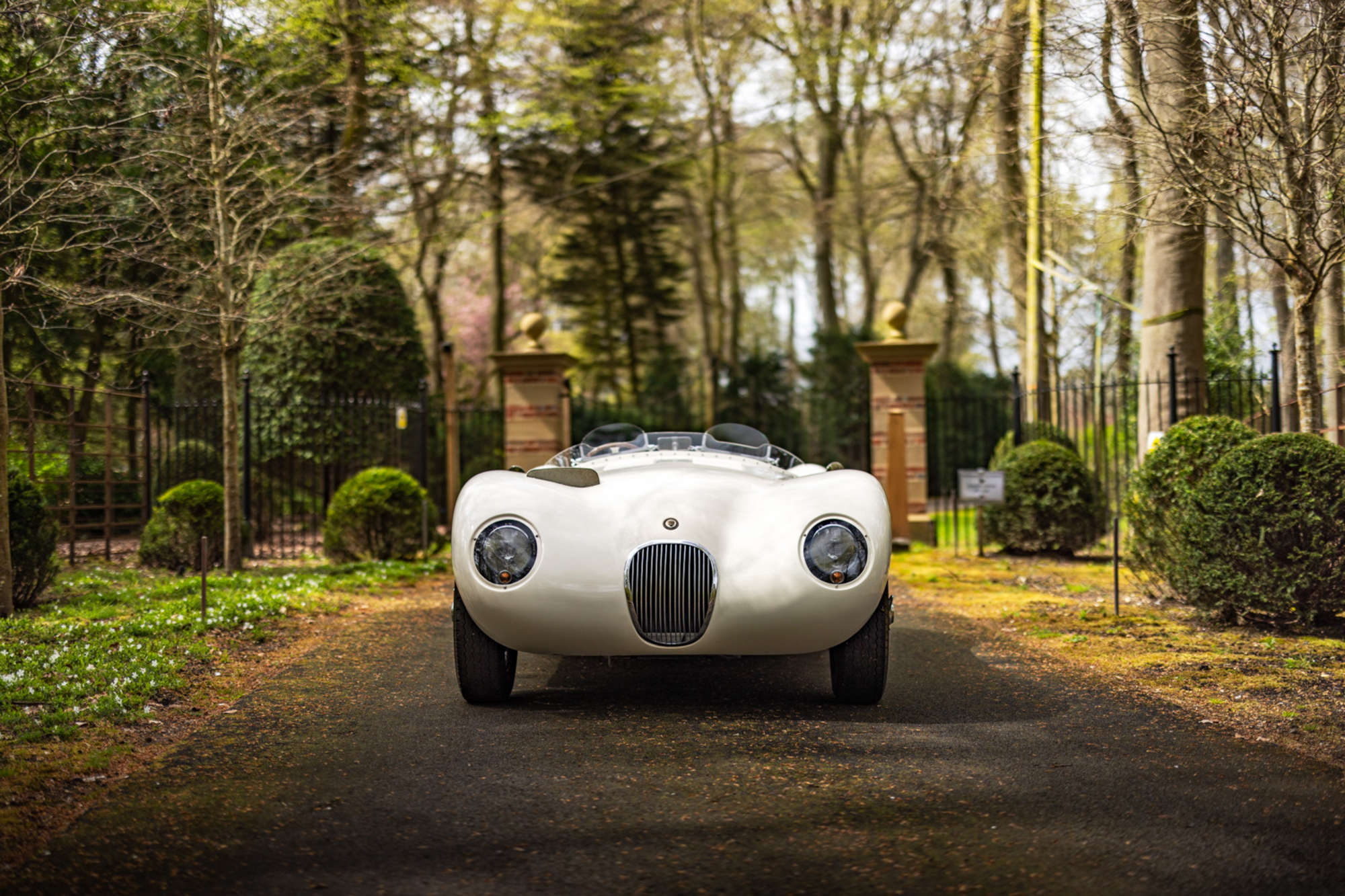 2016 C-Type by Proteus -For Sale
