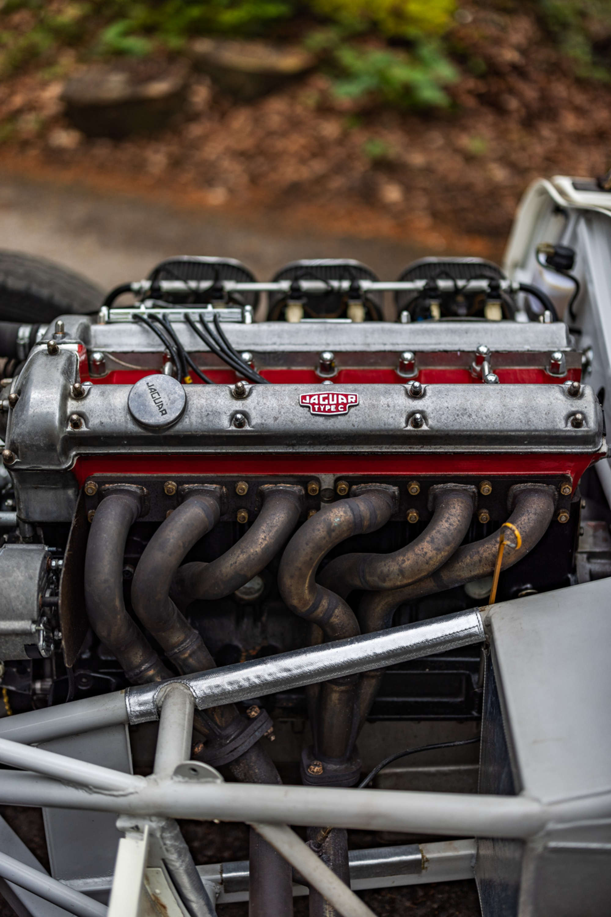 2016 C-Type by Proteus -For Sale