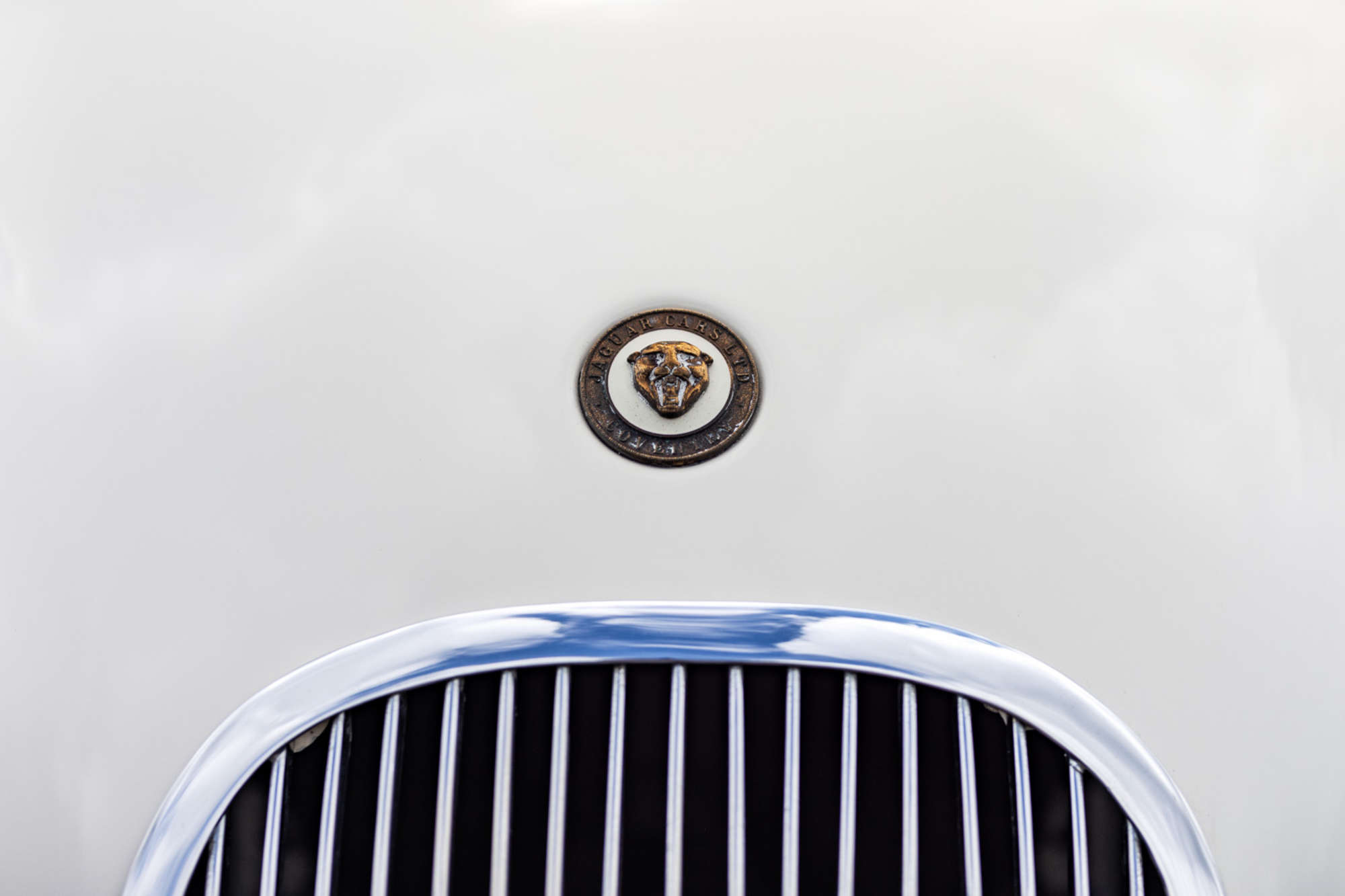 2016 C-Type by Proteus -For Sale