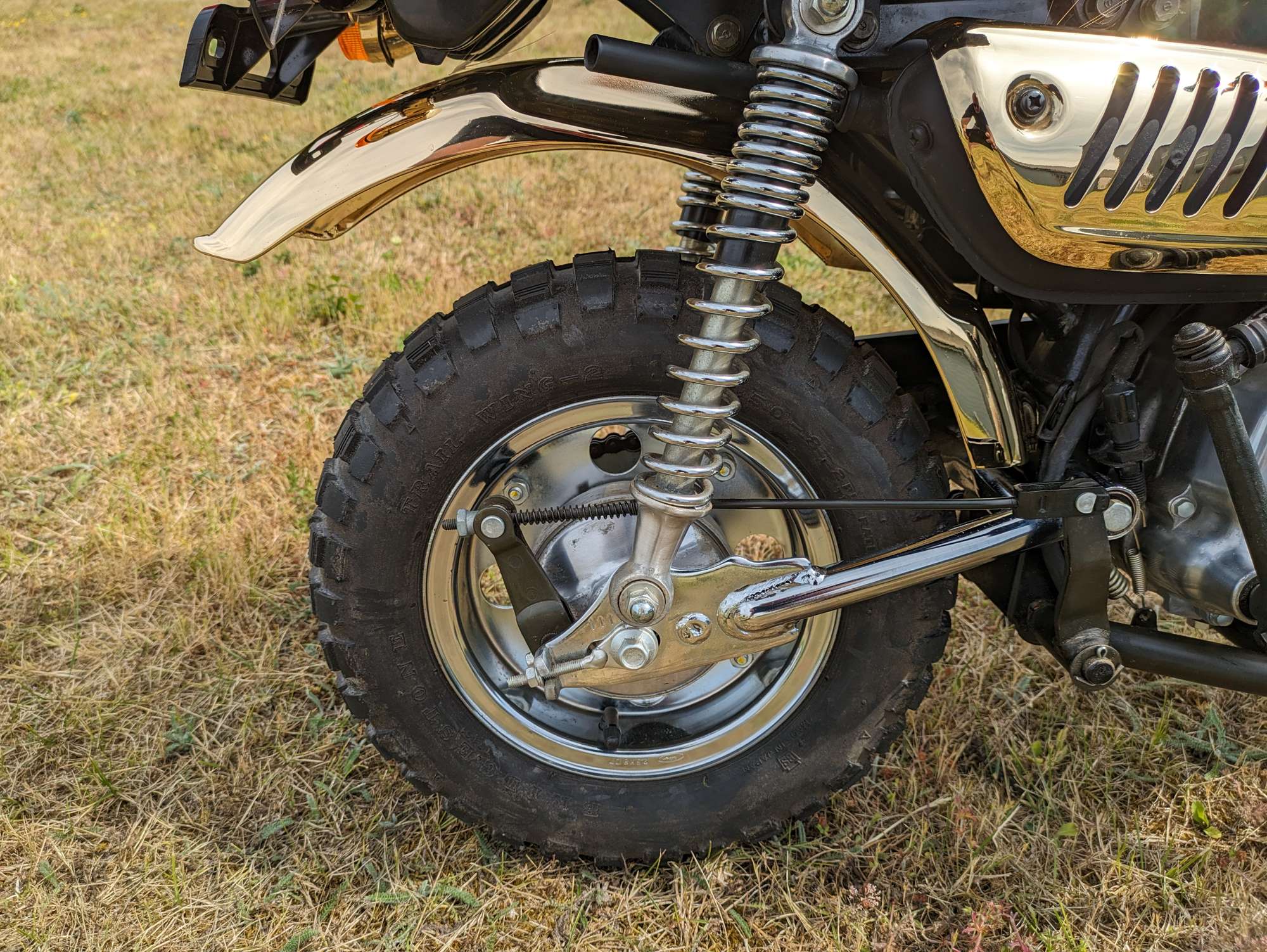 1984 Honda Z50J Gold Limited Edition Monkey 49cc-Sold