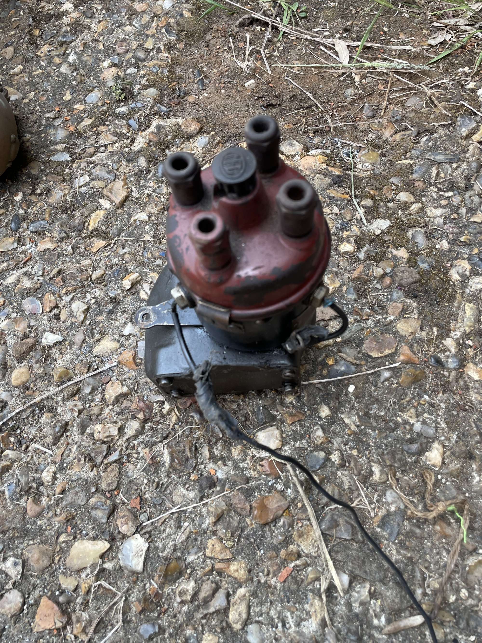 Dayton Belco Ignition Distributor with Cap