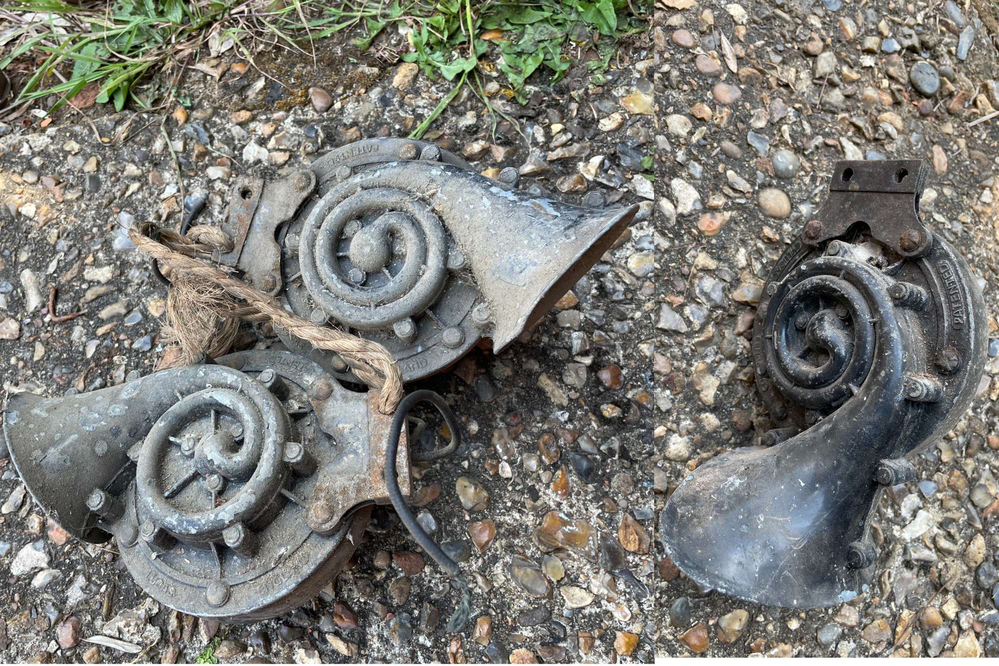 Three Lucas Snail Horns