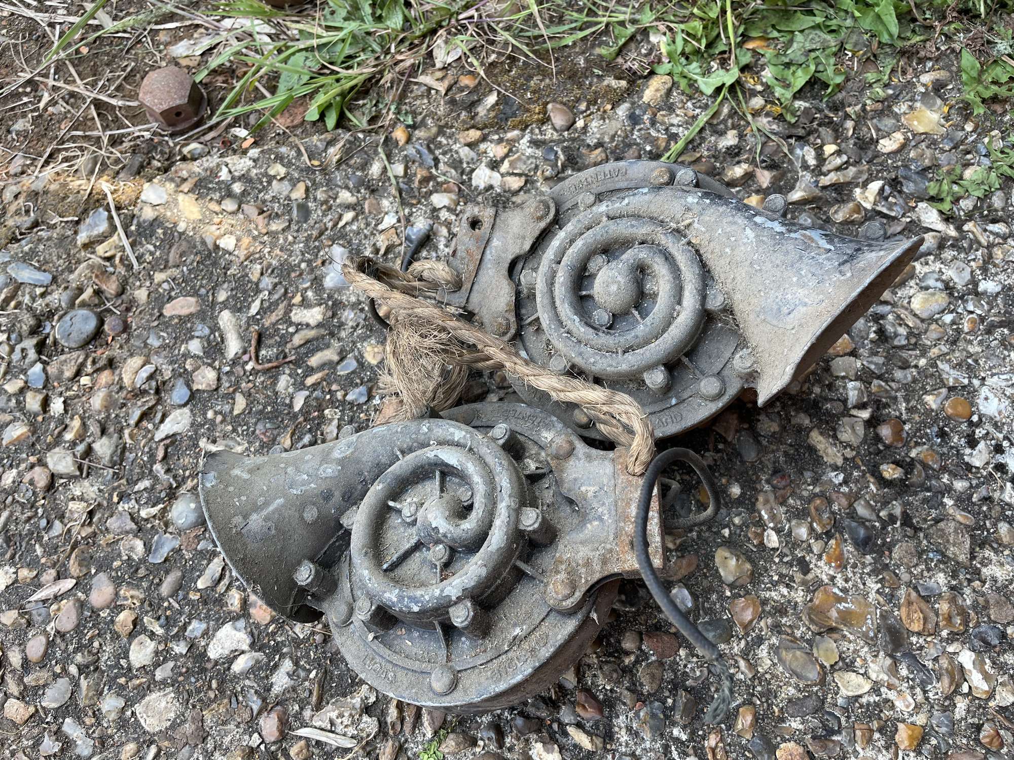 Three Lucas Snail Horns