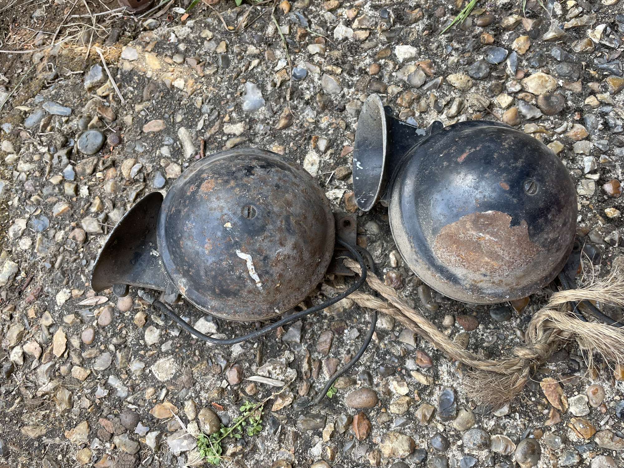 Three Lucas Snail Horns