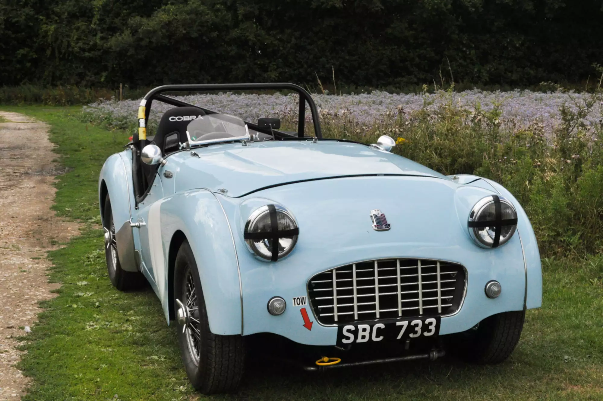 1957 Triumph TR3 Race Car-For Sale