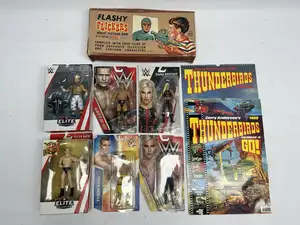 Mattel WWE Wrestling Action Figure, TV Merchandise and Toy Lot