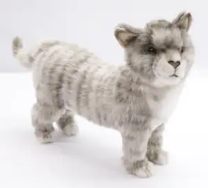 Hansa Cat