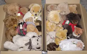 Teddy Bear Mixed Group