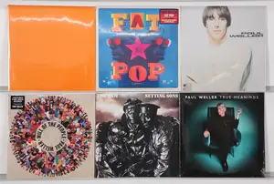New Vinyl: A collection of rock and mod revival LPs documenting the career of Paul Weller