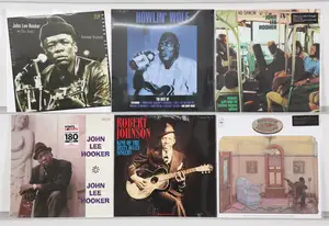New Vinyl: A selection of blues LPs featuring essential recordings from legendary artists including John Lee Hooker, Robert Johnson, and Howlin' Wolf. The coll