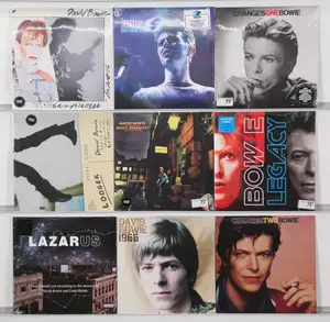 New Vinyl: A collection of classic rock and glam pop studio albums and compilations by David Bowie